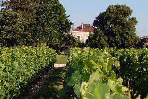 Domaine De Quittignan Brillette Hotel Moulis-en-Médoc Exterior photo